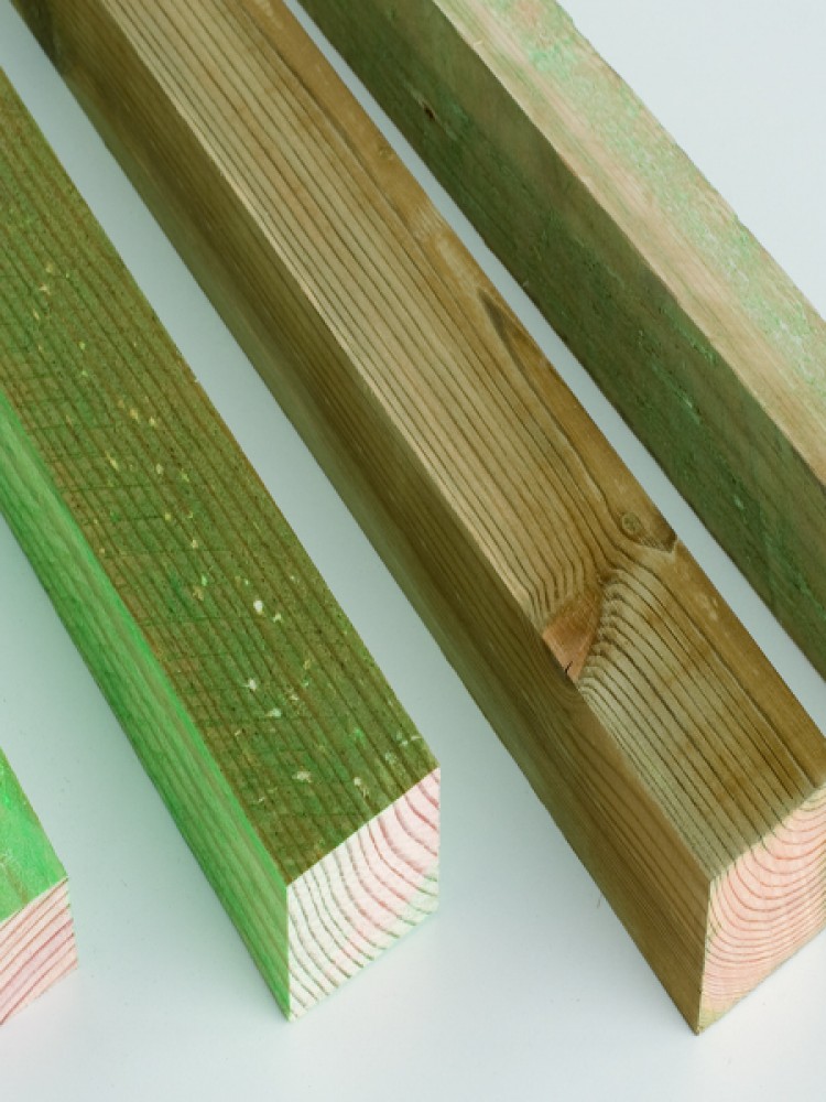 Rastreles sin tratar de Pino Rastreles Francisco