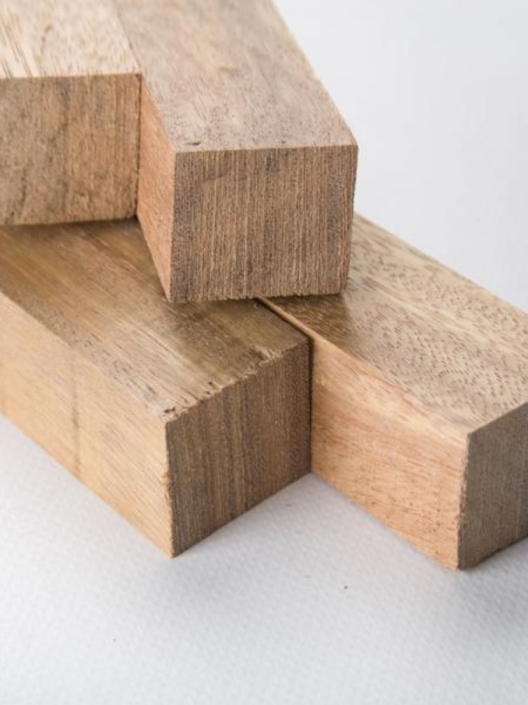 Rastreles sin tratar de Pino Rastreles Francisco Rastreles sin tratar de Pino Rastreles Francisco